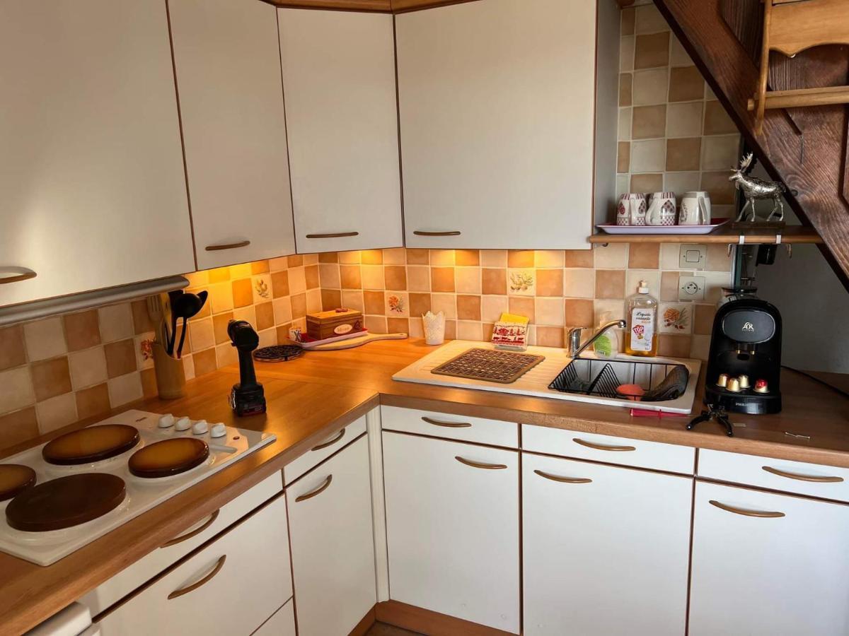 Le Duplex, Superbe Cocon Au Coeur Des Rousses, Confort 5 Pers, Draps Inclus Apartment *